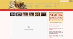 Desktop Screenshot of equinewebdesign.com